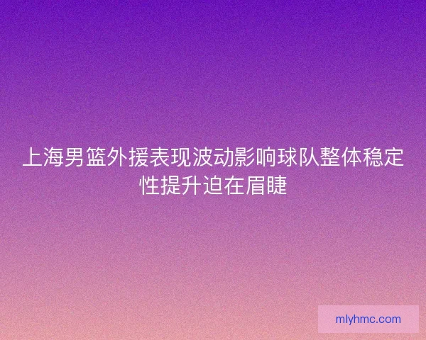 上海男篮外援表现波动影响球队整体稳定性提升迫在眉睫